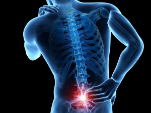 Spine Problem solution doctor in ahmedabad